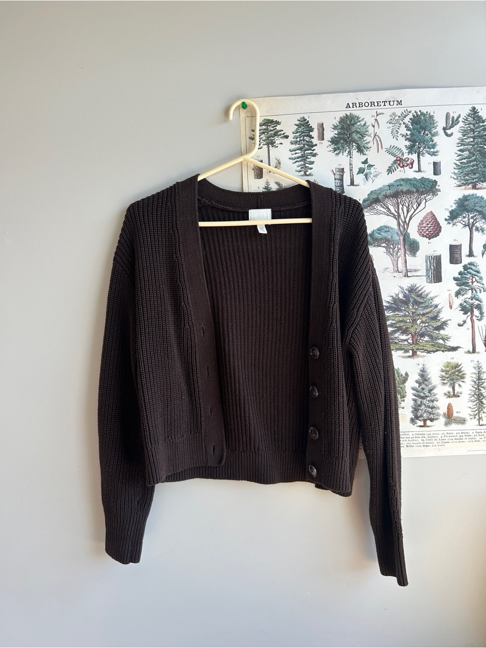 H&M brown knit cardigan XS